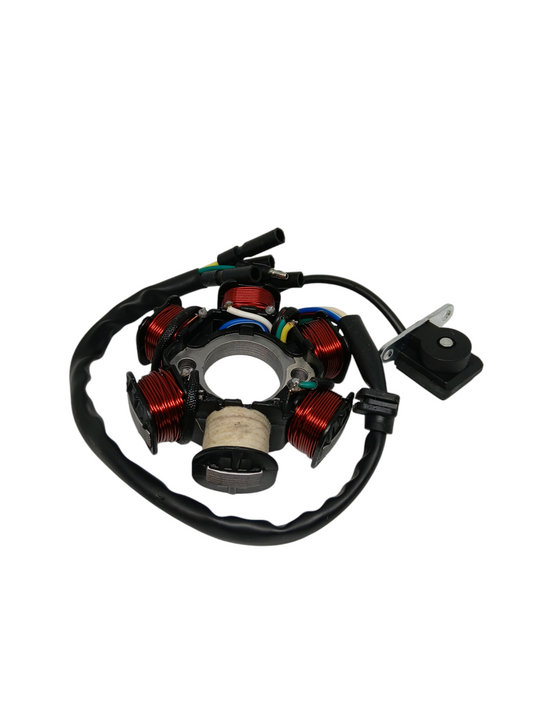 6 Coil Magneto Stator (49cc-125cc) PIT BIKE DIRT BIKE ATV